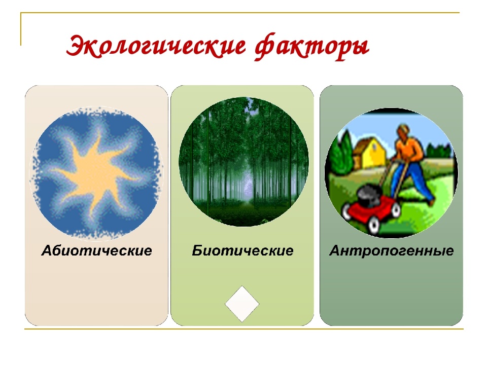 Тест факторы среды 7 класс биология. Экологические факторы. Экологические факторы рисунок. Экологические факторы среды. Экологические факторы картинки.