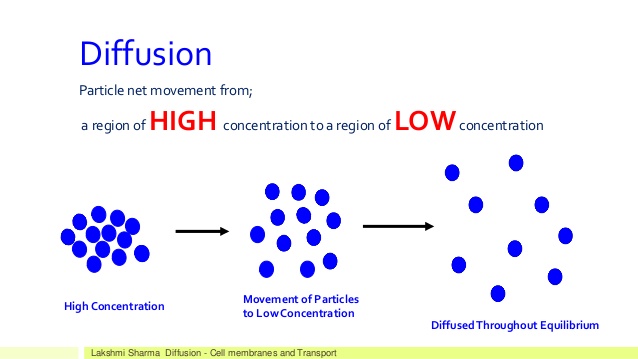 Unstable diffusion картинки