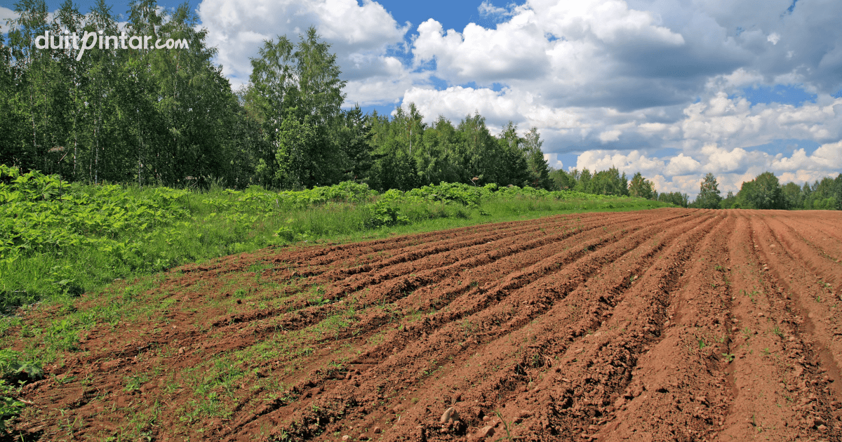 Дом борозда. Вспаханная земля. Богарная пашня. Вспаханная почва. Почва пашня.