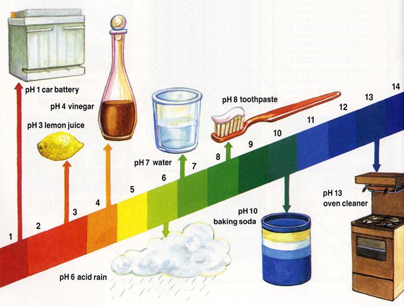 Кислотность соли. РН раствора. PH раствора соды. Уровень кислотности. Кислотность раствора пищевой соды.