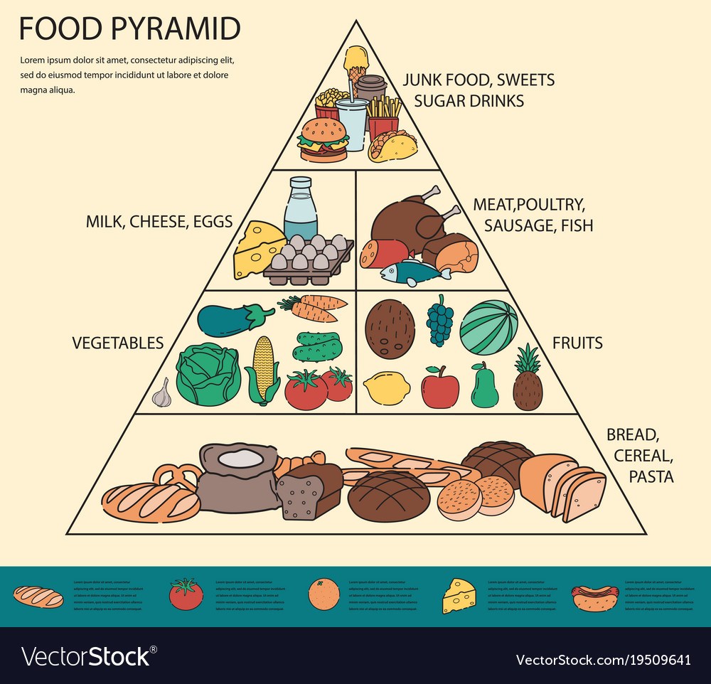 Пирамида питания здорового человека