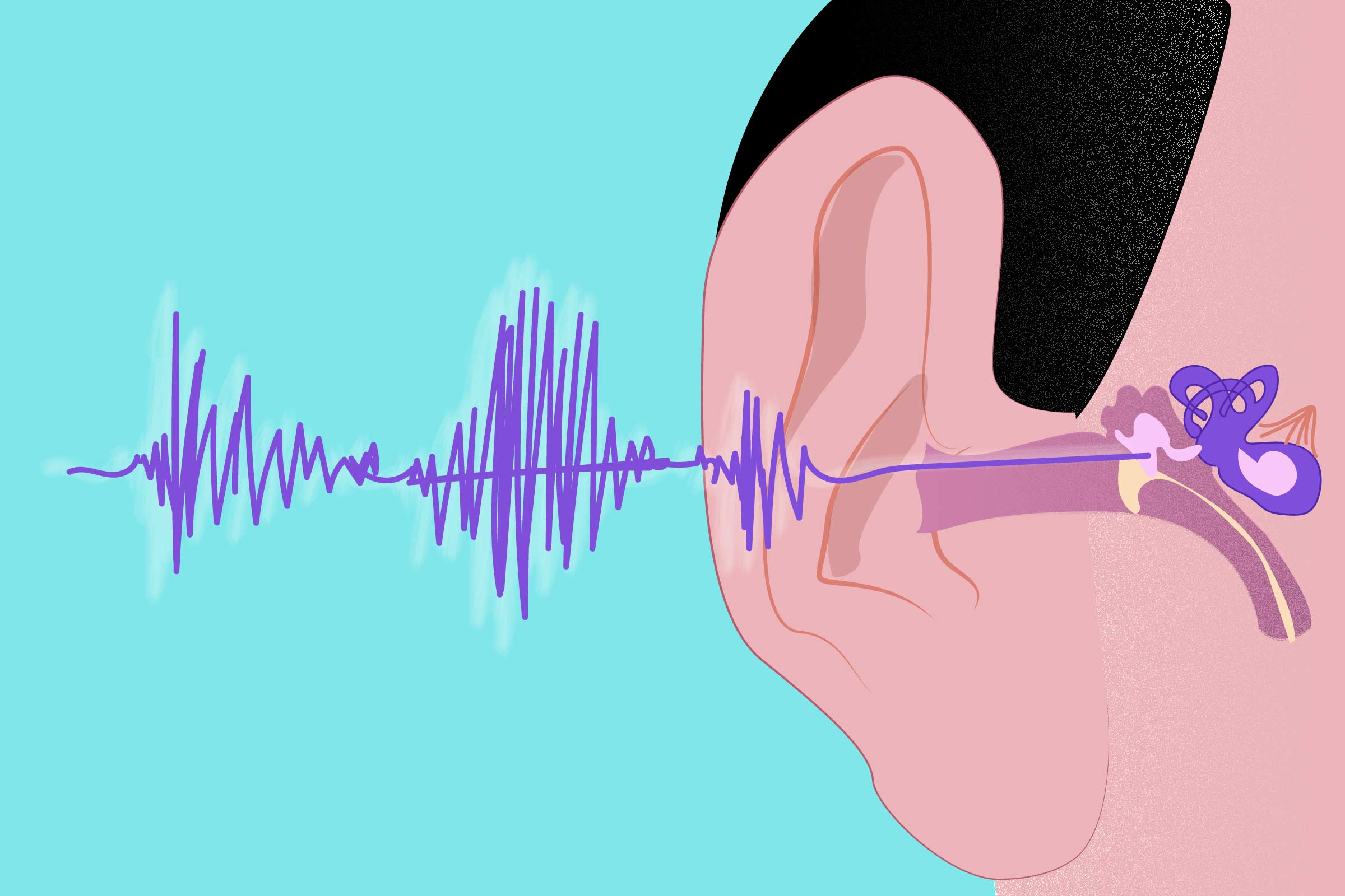 Sound - Hearing 