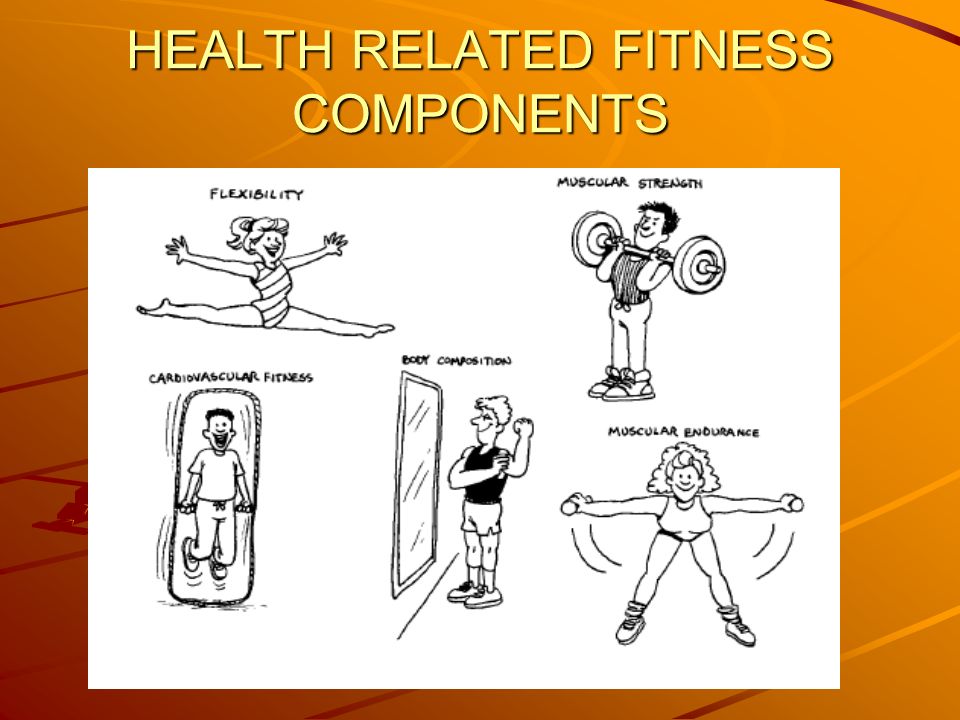 Fitness 102 - Health Related Fitness Components - Quizizz