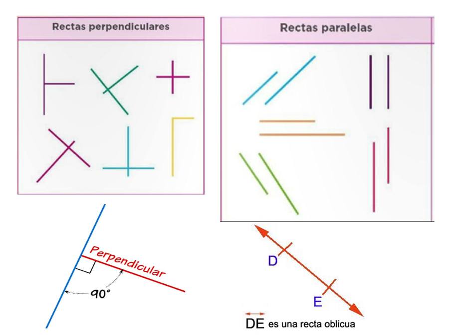Ángulos, rectas paralelas y perpendiculares - Quizizz