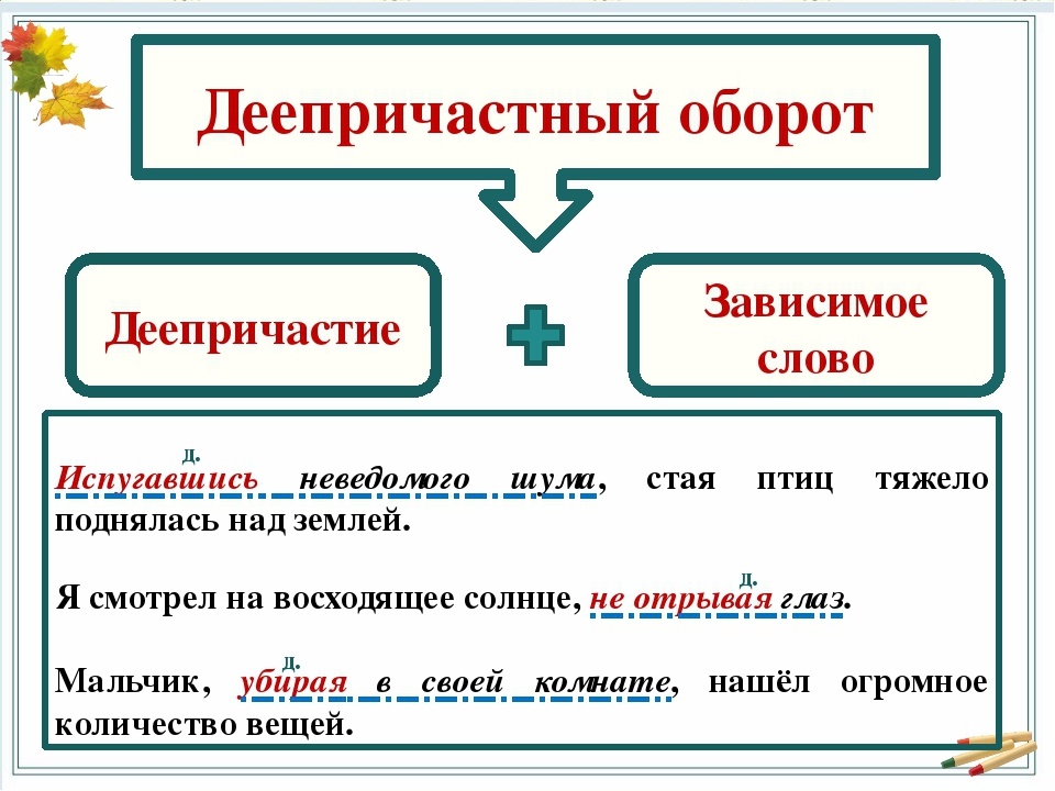 Позавтракав папа ложится поспать в столовой на диване укрывшись старой енотовой шубой