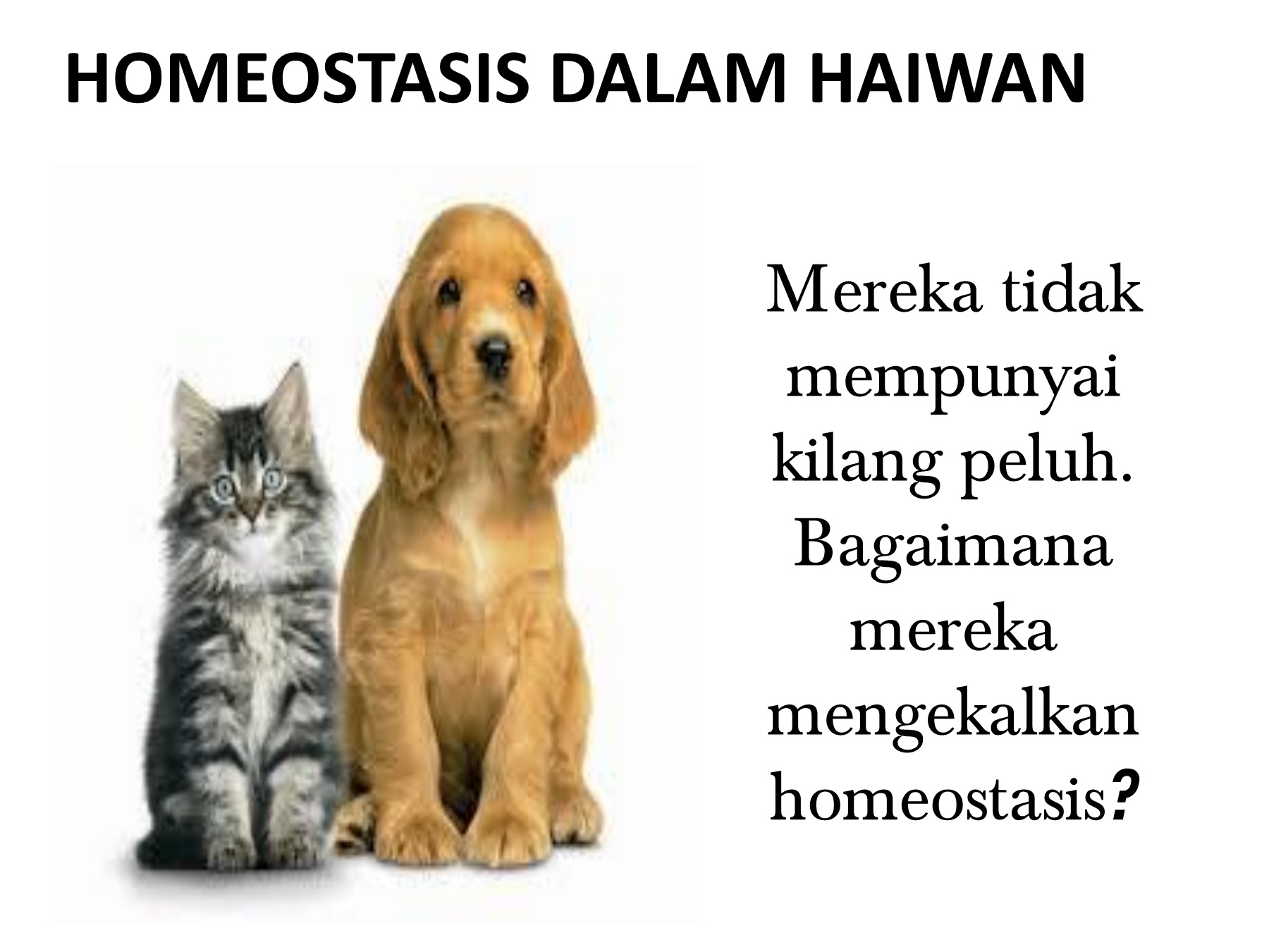 Homeostasis dalam haiwan