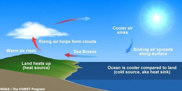 Why Does The Wind Blow? | Science - Quizizz