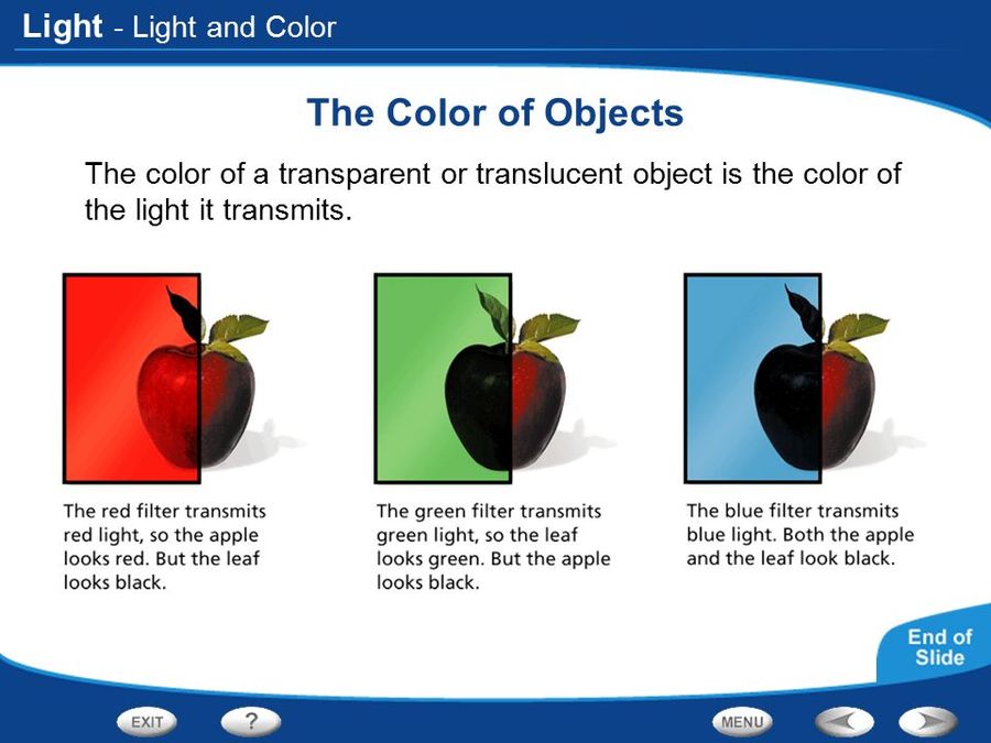 QL) Light and (Quizizz lesson) | Physics