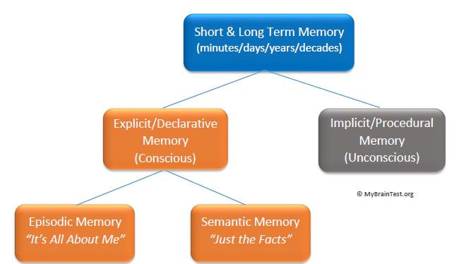 types-of-long-term-memory-0621-social-studies-quizizz