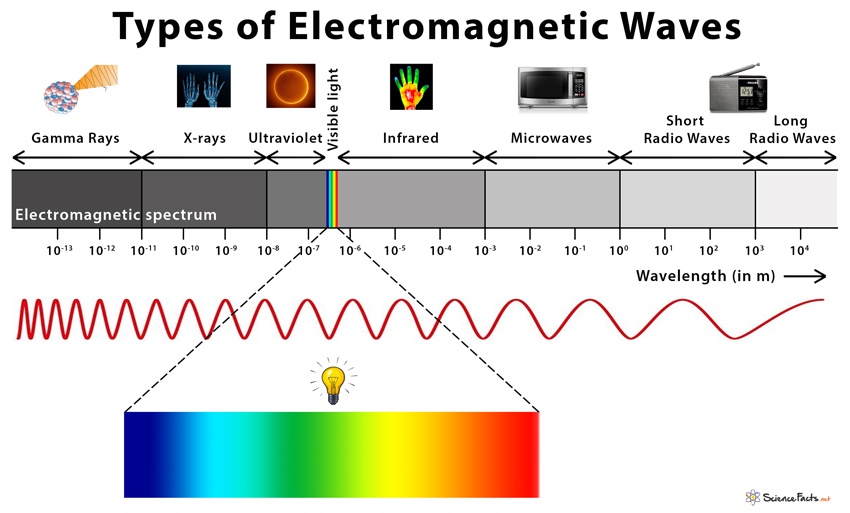 Electrical Circuits | Science - Quizizz