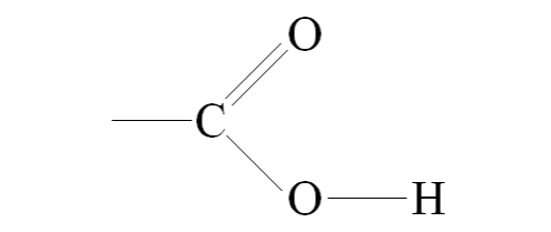 Molecular Biology - Part C | Biology - Quizizz