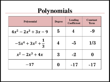 Polynomials-Characteristics and Operations - Quizizz