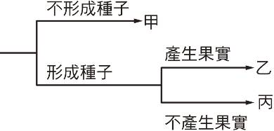 自然第二冊第四單元 Other Quiz Quizizz