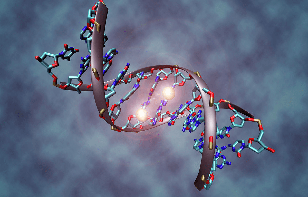 dna-test-science-quizizz