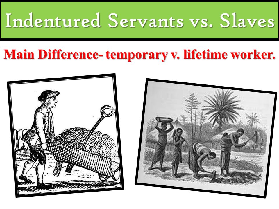 indentured servants