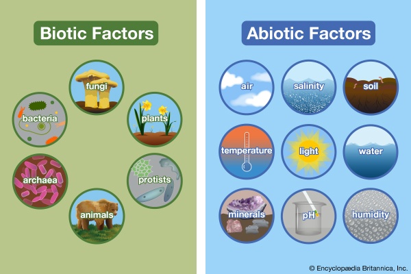 ecology-overview-science-quizizz