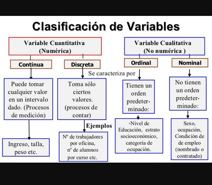 Recopilaci N Y Procesamiento De Datos Quizizz