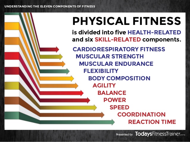 Fitness 103 Skill Related Fitness Components Quizizz