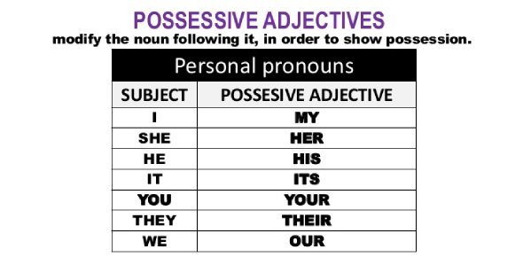 possessive-adjectives-and-pronouns-english-quizizz
