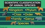 Shared Animal Characteristics