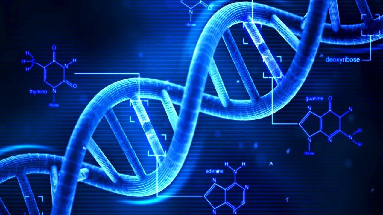 rna and protein synthesis Flashcards - Quizizz