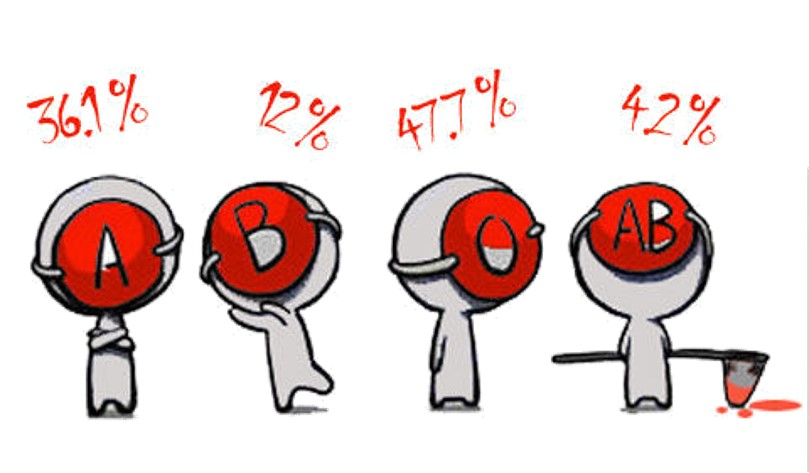 Strategie mnożenia - Klasa 12 - Quiz