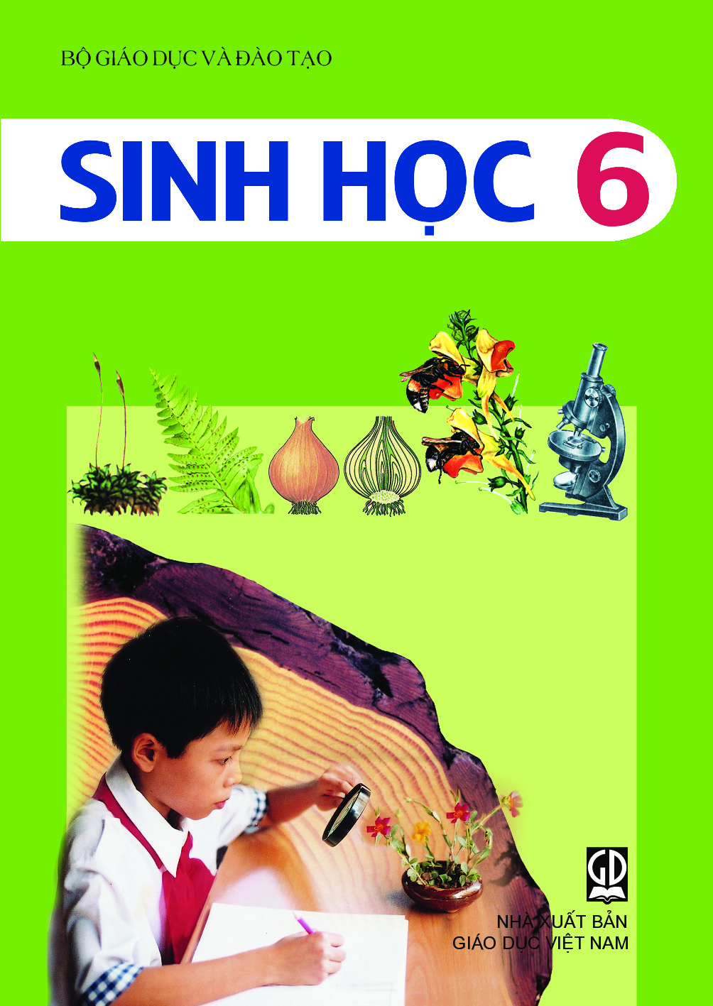 các kiểu sinh sản - Lớp 6 - Quizizz