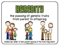 introduction to heredity - Grade 4 - Quizizz