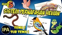 Hewan - Kelas 10 - Kuis