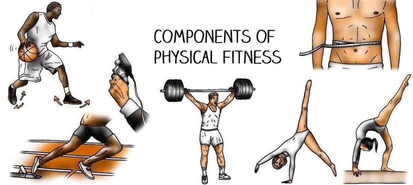 Skill Related and Health Related Fitness Components