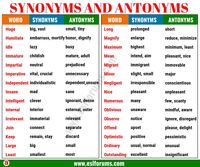 Synonimy i antonimy - Klasa 10 - Quiz