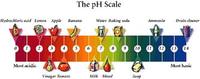 acids and bases - Year 5 - Quizizz