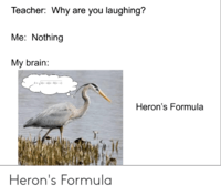 herons formula Flashcards - Quizizz