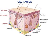 Từ ghép - Lớp 8 - Quizizz