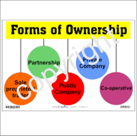 Business Studies( Forms Of Ownership)