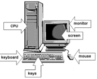 Computer - Class 2 - Quizizz