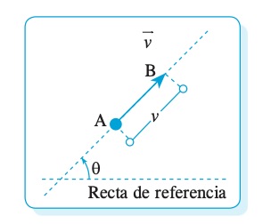 vectores - Grado 8 - Quizizz