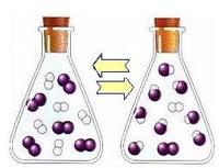 equilíbrio químico - Série 11 - Questionário