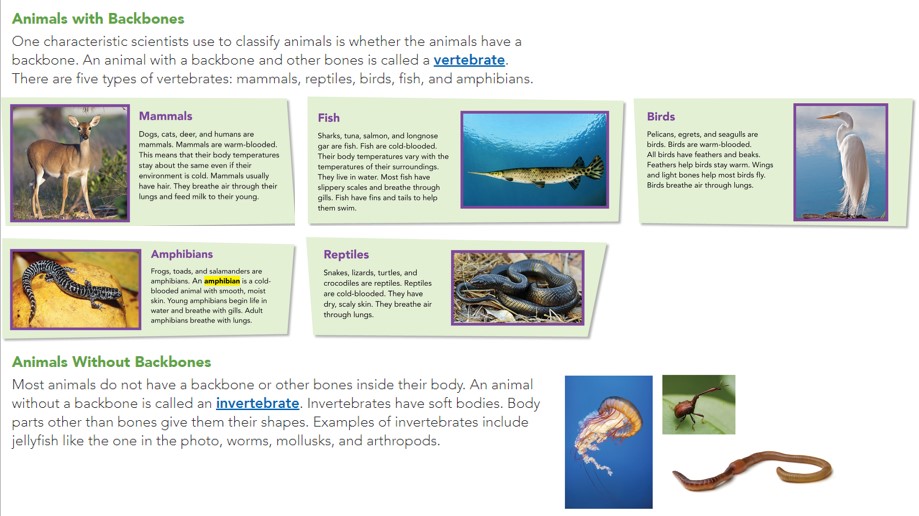 Animal Classification part 2 | Science - Quizizz