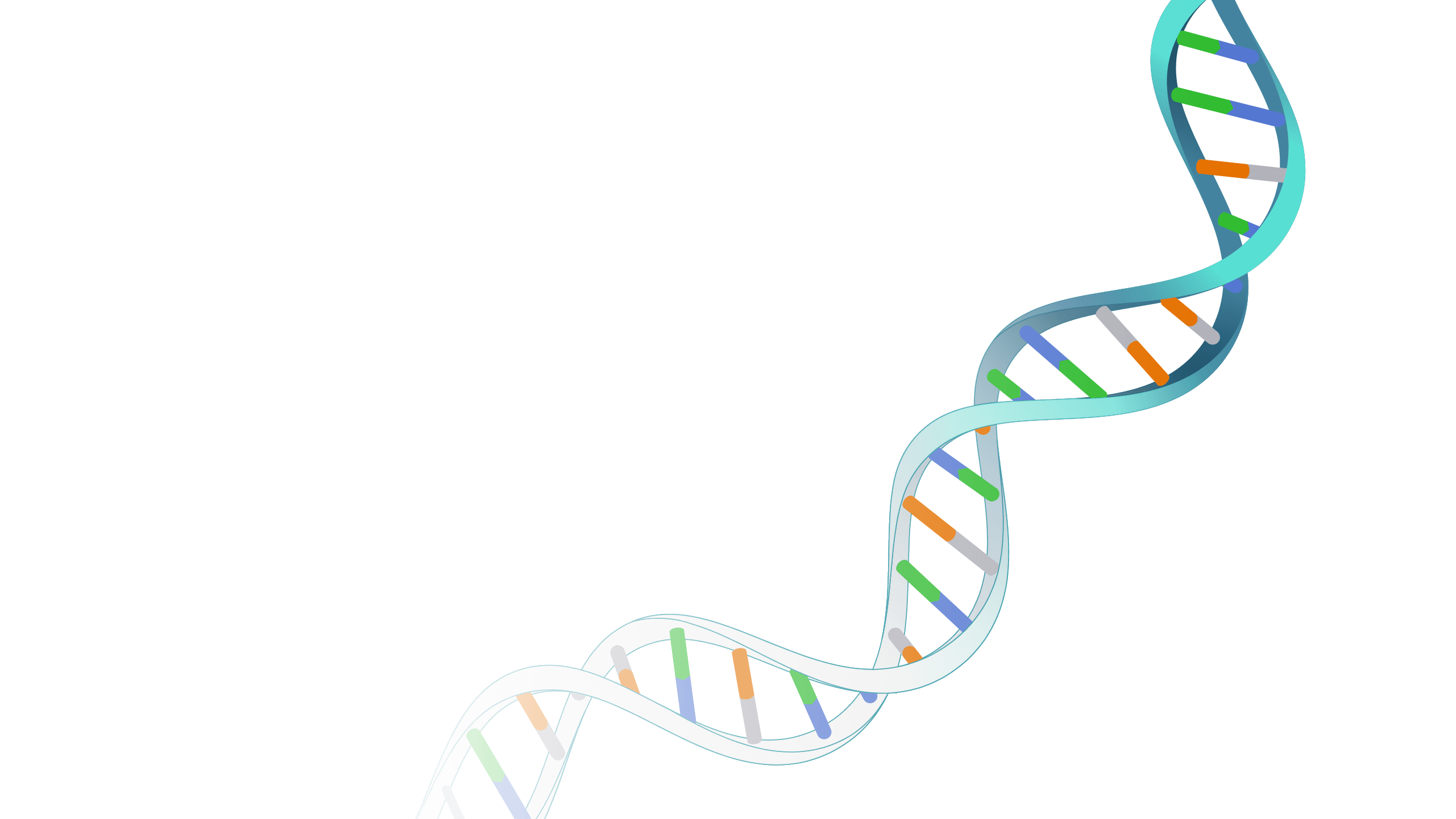 regulación genética - Grado 10 - Quizizz