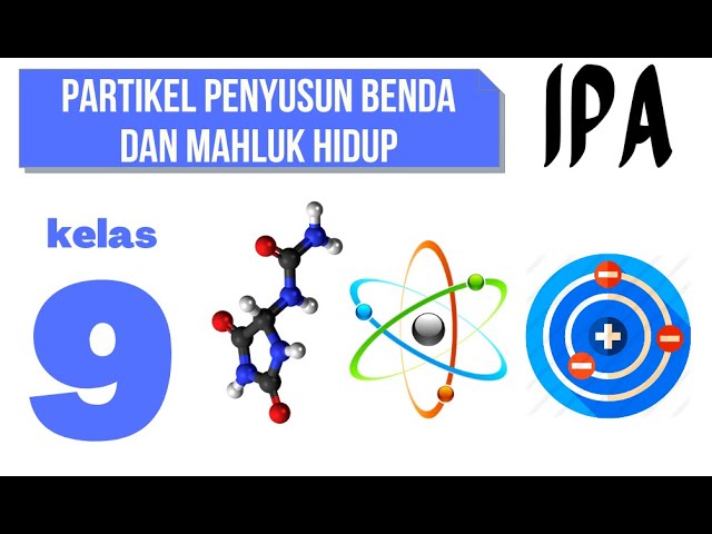 Apostrof dalam Kata Benda Posesif Jamak - Kelas 9 - Kuis