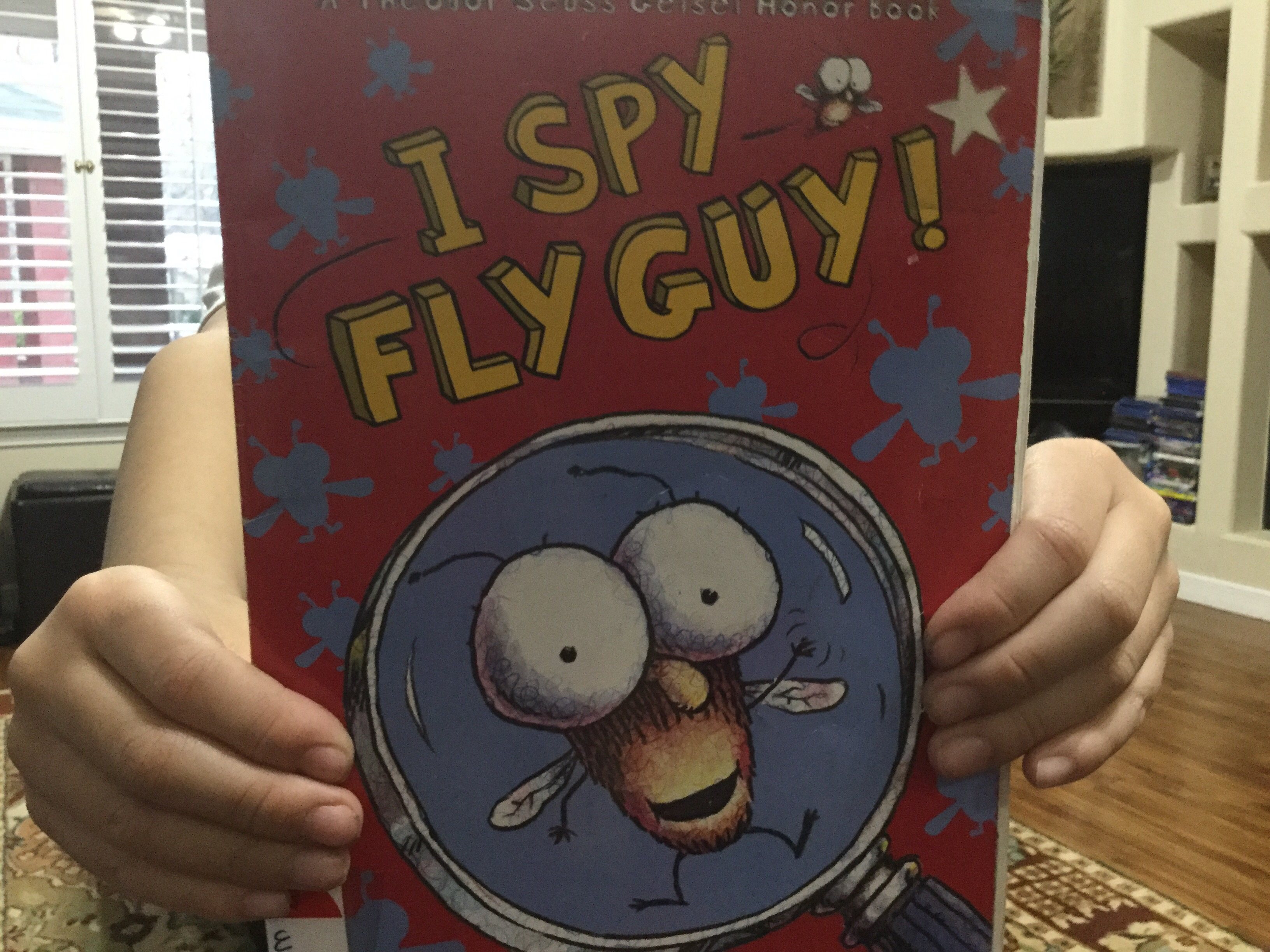 I SPY FLY GUY TRIVIA