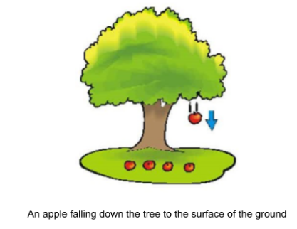 centripetal force and gravitation - Class 4 - Quizizz