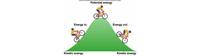 spring potential energy and hookes law - Year 12 - Quizizz