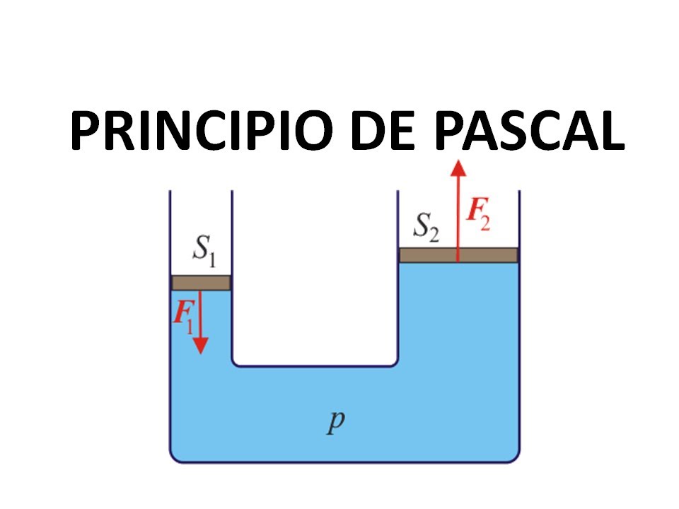 fórmula de garzas - Grado 7 - Quizizz