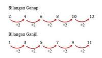 Bilangan Ganjil dan Genap - Kelas 12 - Kuis