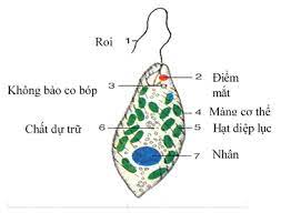 quang học hình học - Lớp 7 - Quizizz