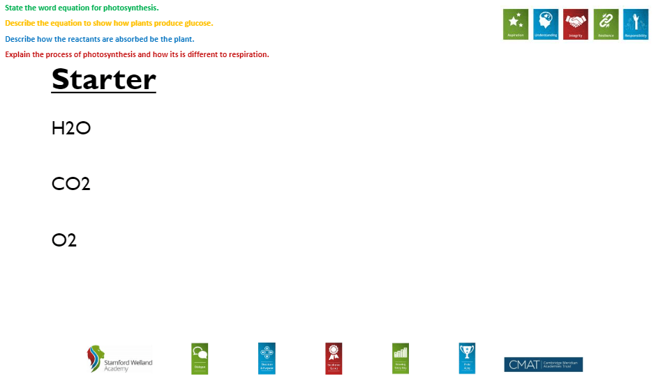 Photosynthesis | Biology - Quizizz