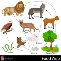 productores y consumidores - Grado 4 - Quizizz