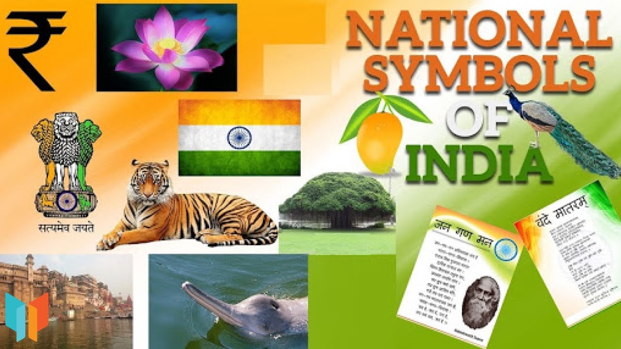 National Symbols Flashcards - Quizizz